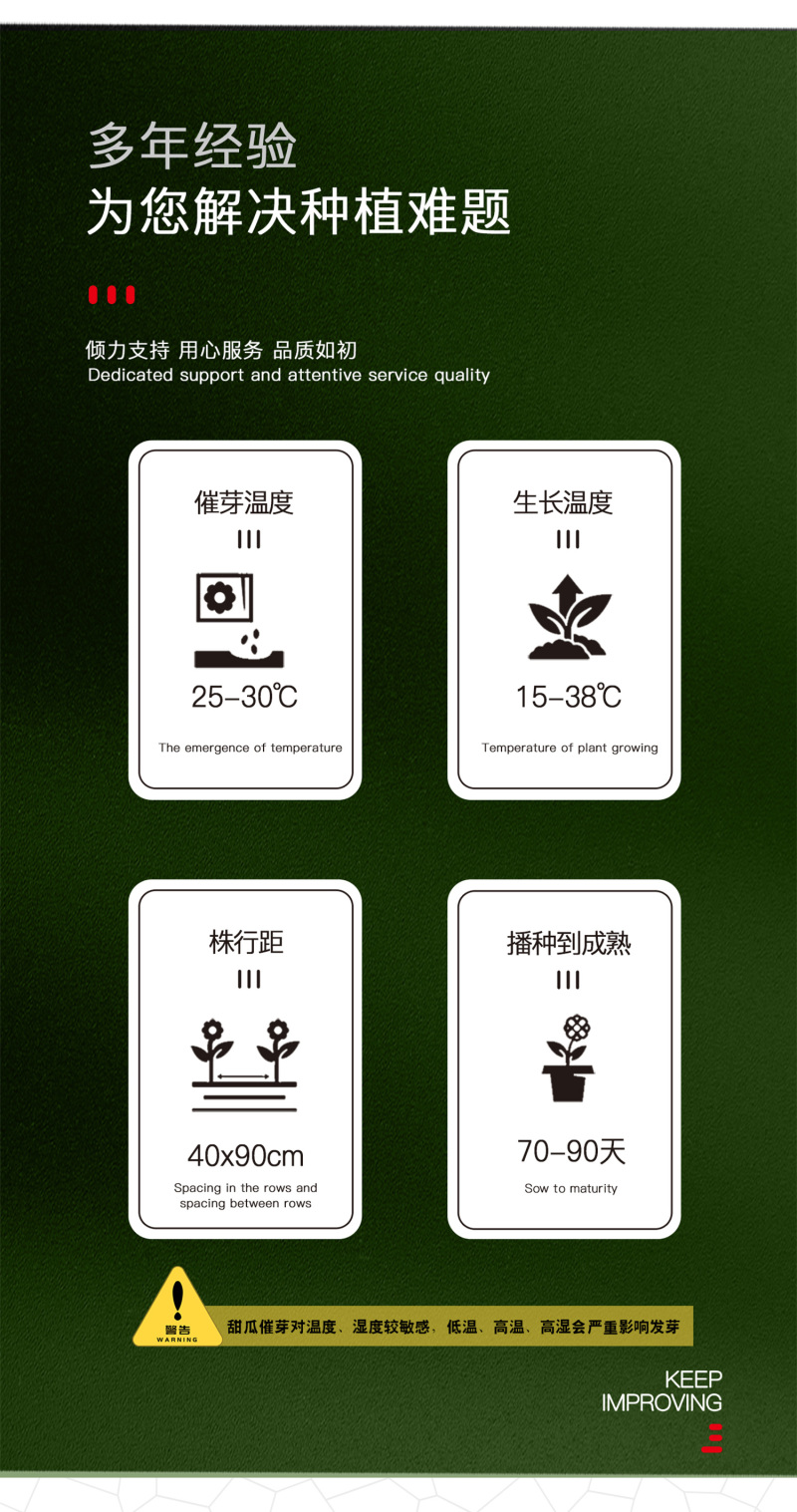 中科茂华水果种子茂华新甜宝甜瓜种子黄绿皮高糖香瓜種
