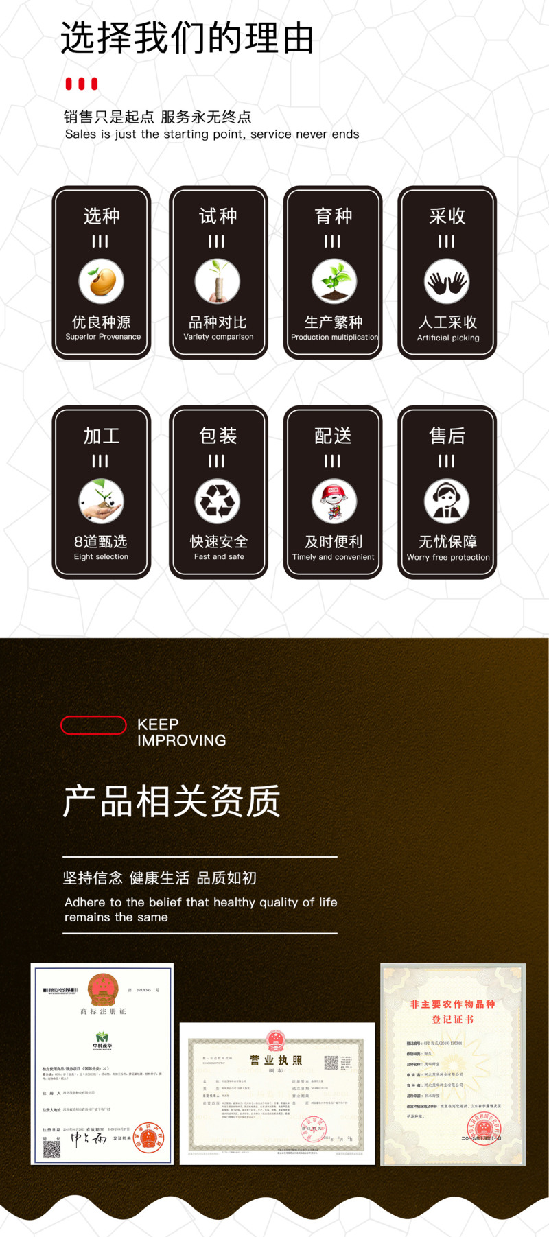 中科茂华水果种子茂华新甜宝甜瓜种子黄绿皮高糖香瓜種
