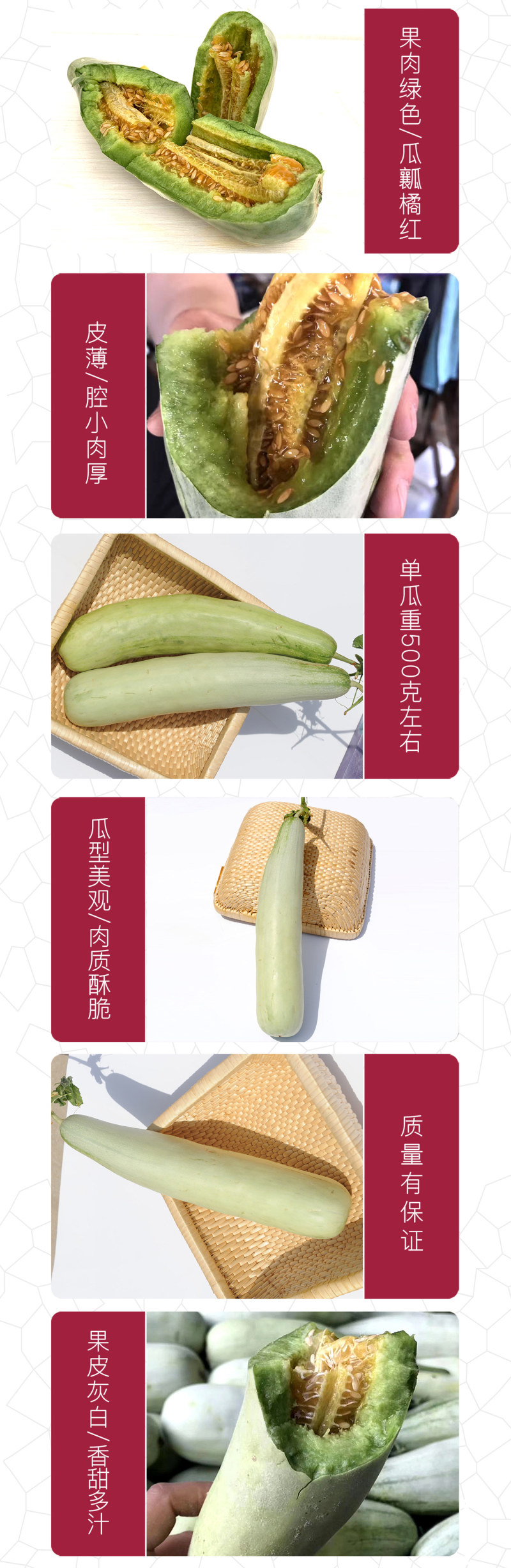 中科茂华瓜果种子香酥羊角脆甜瓜种子羊角蜜酥脆香瓜種子