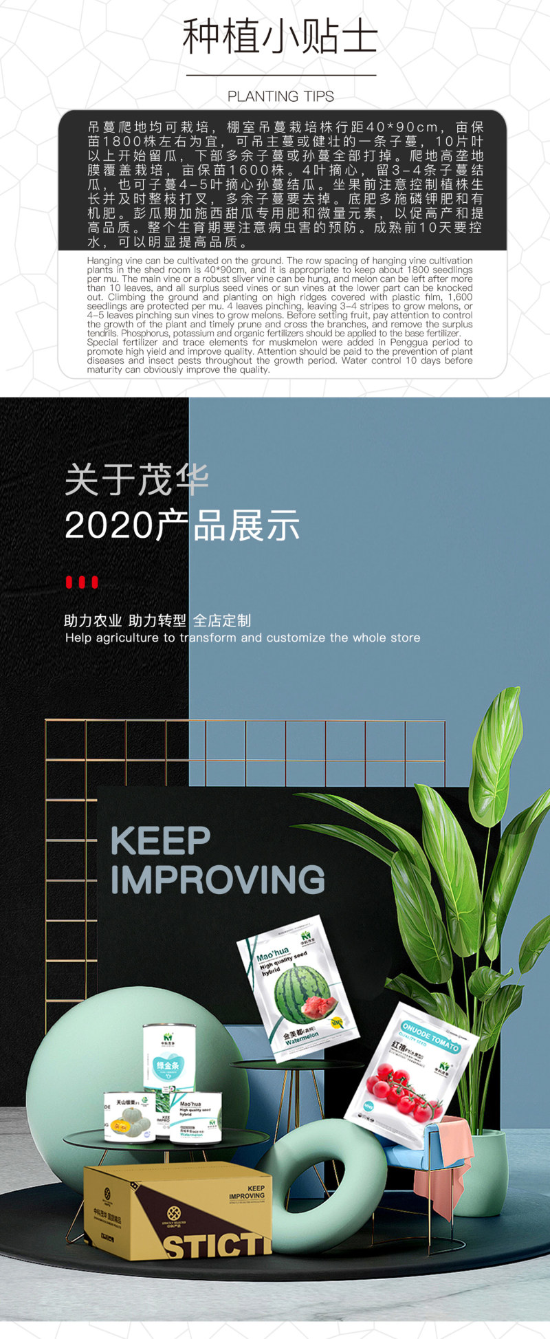 中科茂华瓜果种子香酥羊角脆甜瓜种子羊角蜜酥脆香瓜種子