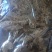 【豆豉】老干妈豆豉风味老干妈豆豉厂家直销商超餐饮专供