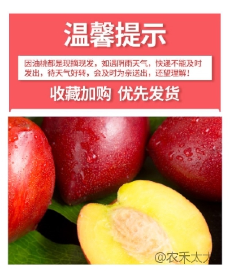 油桃