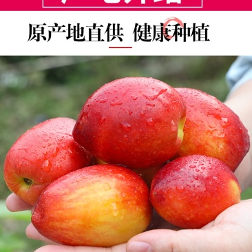 油桃