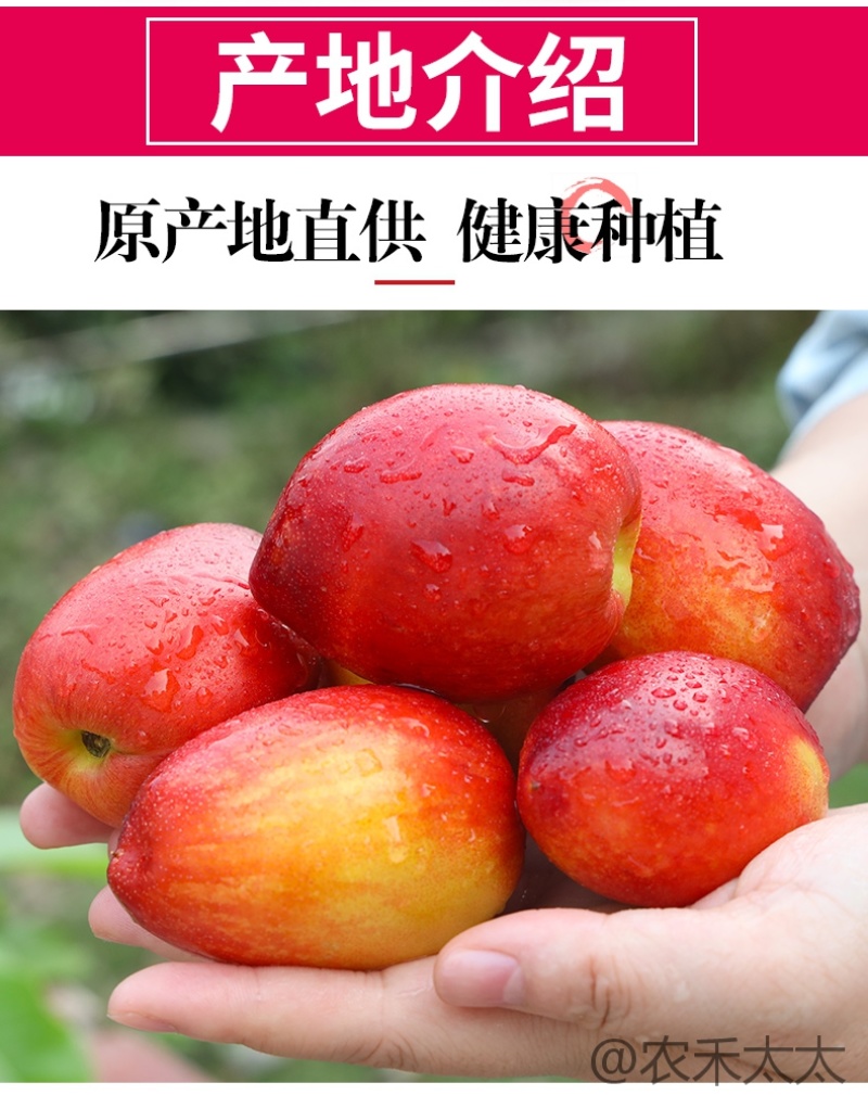 油桃