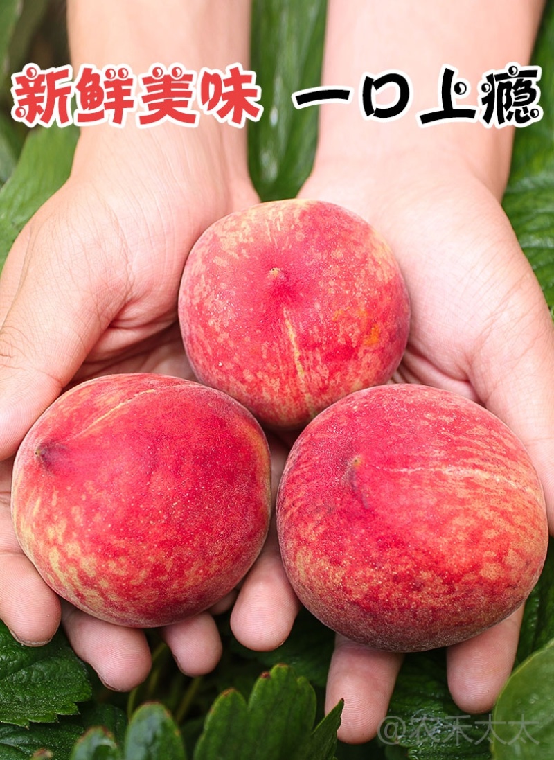 水密桃