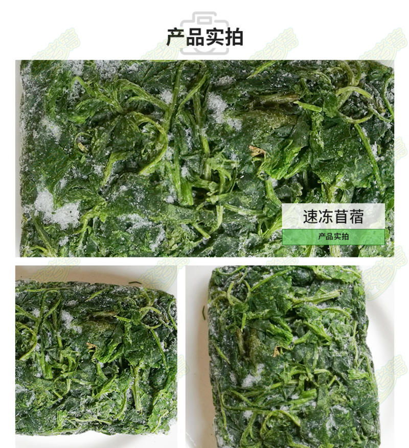 速冻苜蓿芽金花菜草头长寿菜酒店特色食材饺子包子馅