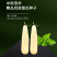 中科茂华水果蔬菜种子茂华白羊角甜瓜种子纯白皮羊角脆香