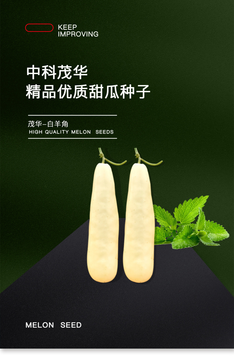 中科茂华水果蔬菜种子茂华白羊角甜瓜种子纯白皮羊角脆香
