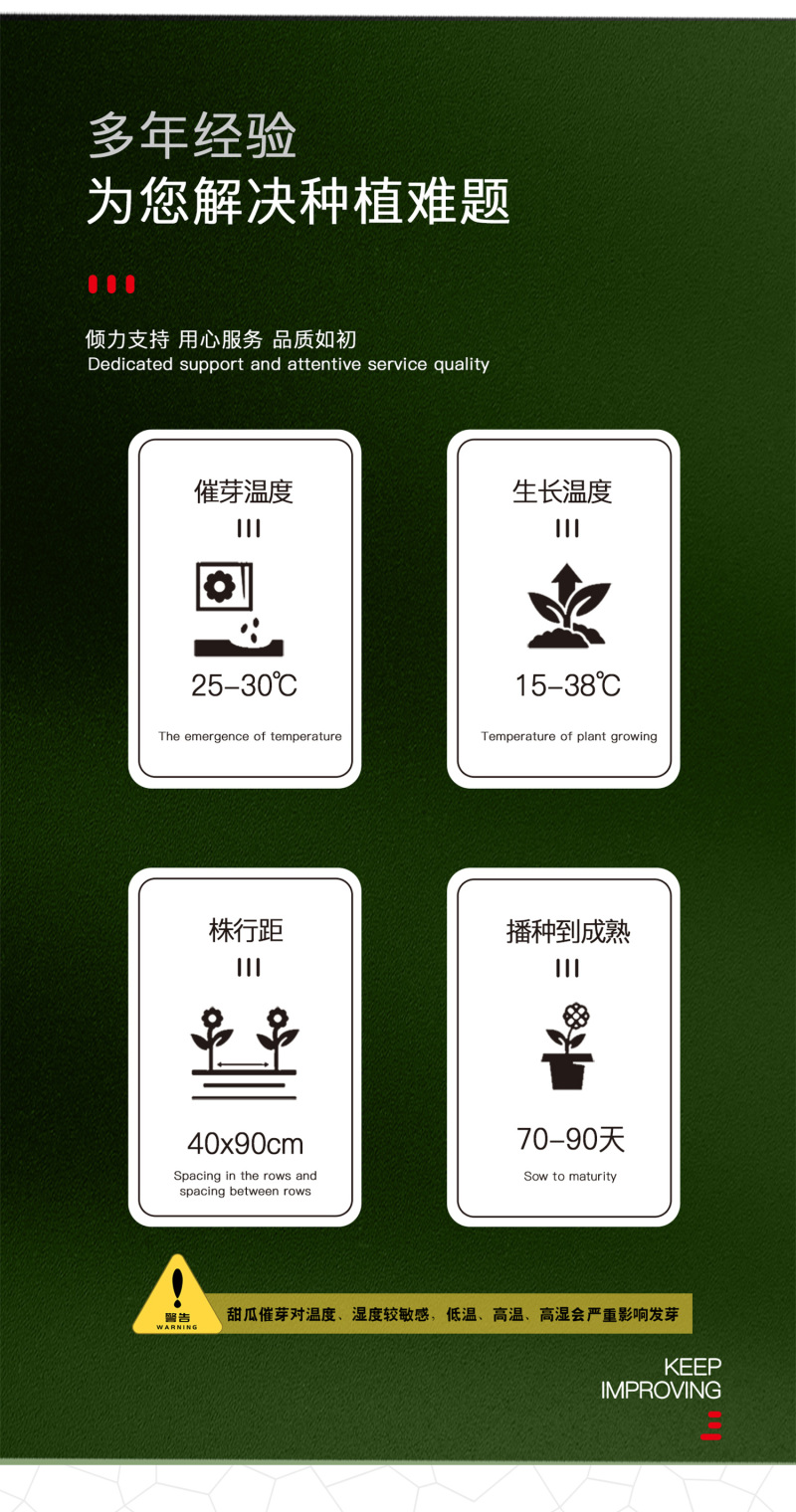 中科茂华水果蔬菜种子茂华白羊角甜瓜种子纯白皮羊角脆香