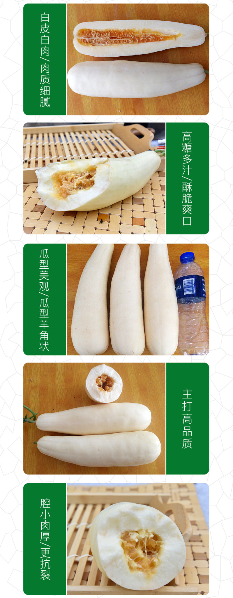 中科茂华水果蔬菜种子茂华白羊角甜瓜种子纯白皮羊角脆香