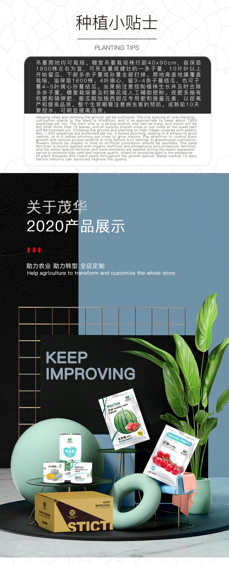 中科茂华水果蔬菜种子茂华白羊角甜瓜种子纯白皮羊角脆香