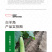 中科茂华水果蔬菜种子茂华白羊角甜瓜种子纯白皮羊角脆香