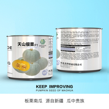 中科茂华蔬菜种子天山银栗南瓜种子板栗南瓜3-4斤