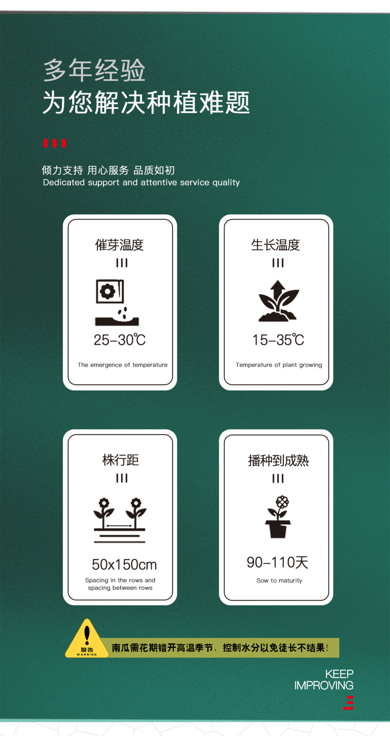 中科茂华蔬菜种子天山银栗南瓜种子板栗南瓜3-4斤