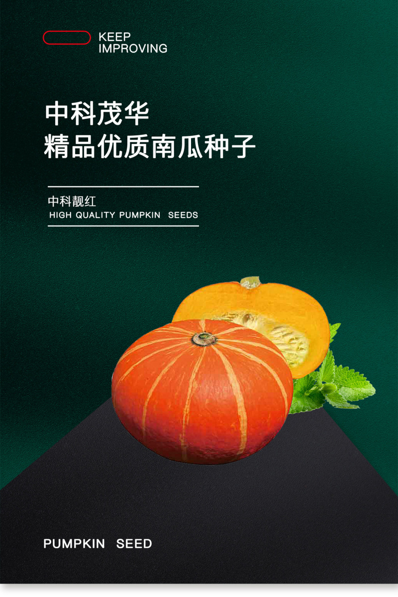 中科茂华蔬菜种子中科靓红南瓜红栗板栗南瓜种子扁圆