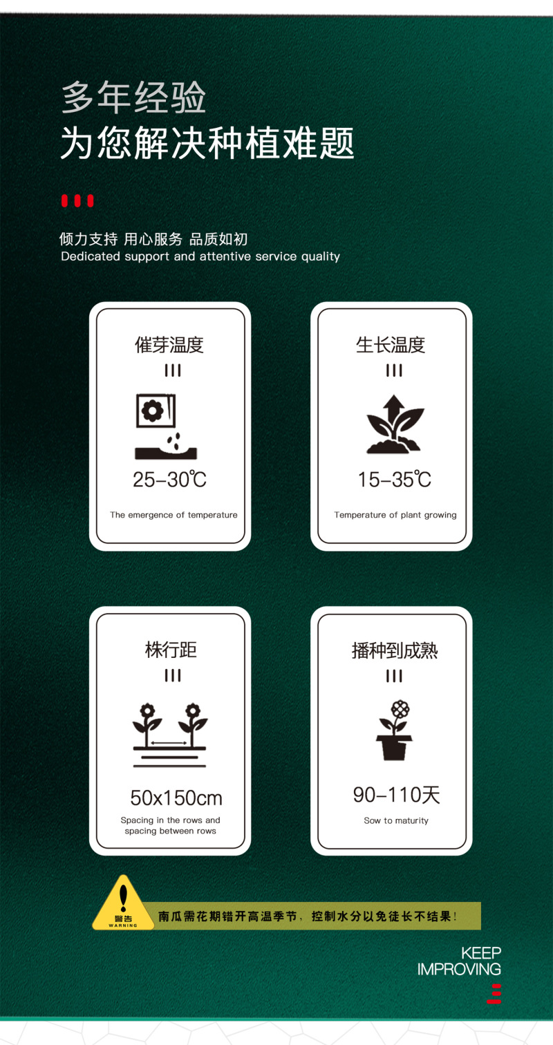 中科茂华蔬菜种子中科靓红南瓜红栗板栗南瓜种子扁圆