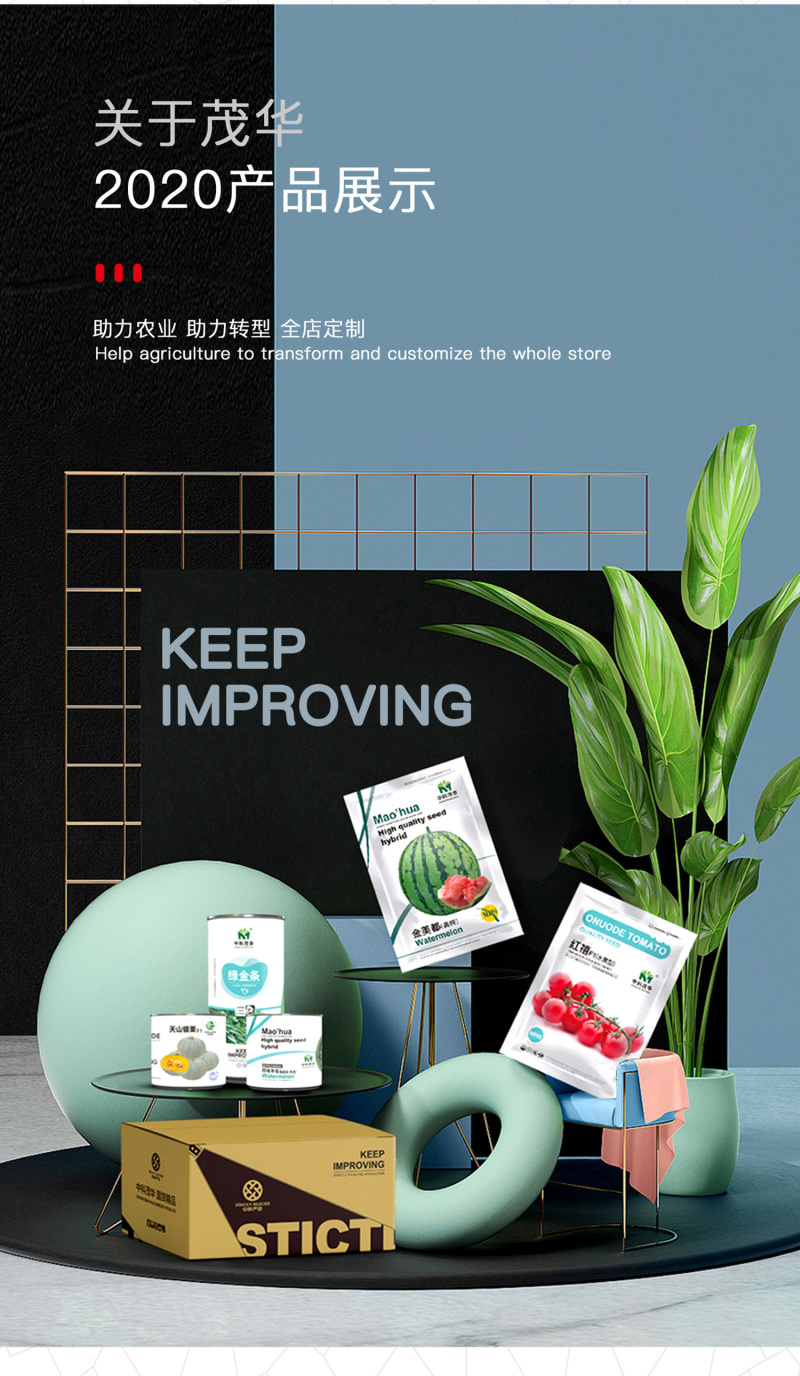 中科茂华蔬菜种子中科靓红南瓜红栗板栗南瓜种子扁圆