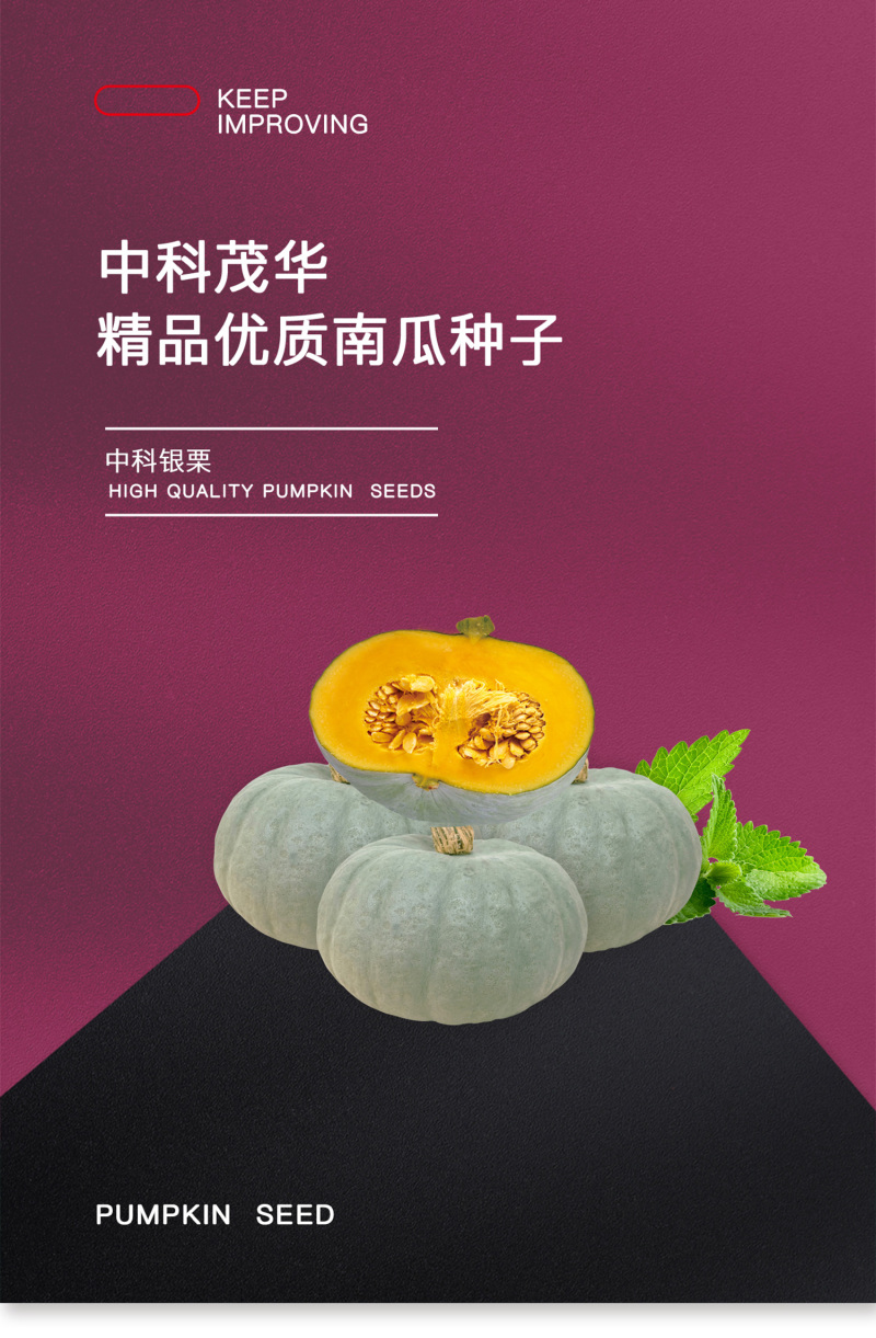 中科茂华蔬菜种子科银栗南瓜种子板栗南瓜3-4斤