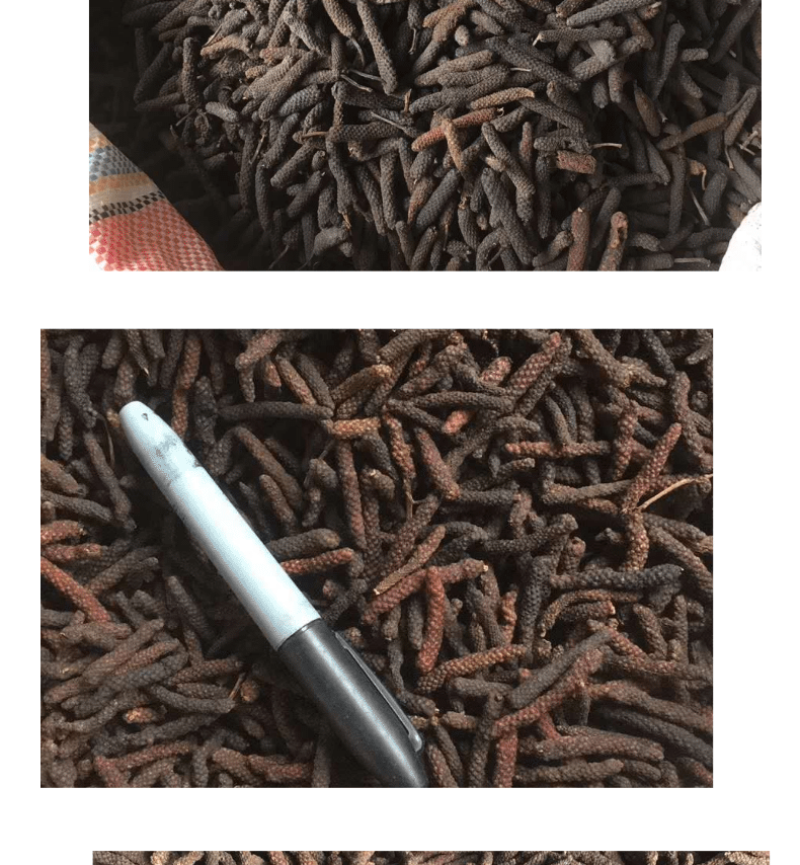荜茇荜拨足干无硫产地一手货源大中小各种规格