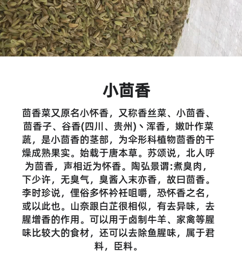 小茴香-天然调味品足干无硫磺