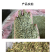 小茴香-天然调味品足干无硫磺
