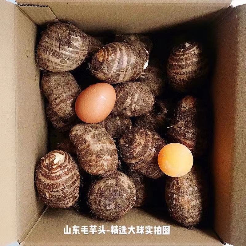 《电商一件代发》山东奶心芋头一件代发毛芋头一件代发质保证