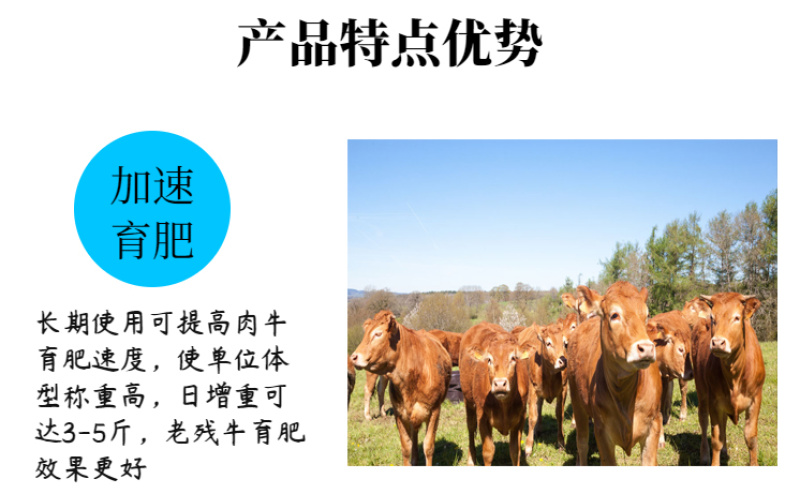 5%育肥牛预混料