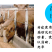 5%育肥牛预混料