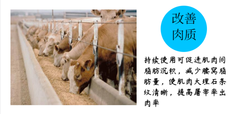 5%育肥牛预混料