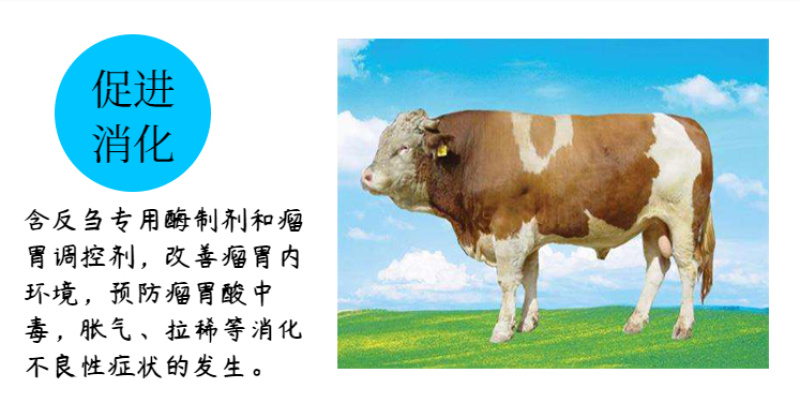 5%育肥牛预混料