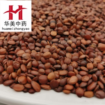 酸枣仁@【华美中药】批发供应中药材【国产酸枣仁98货