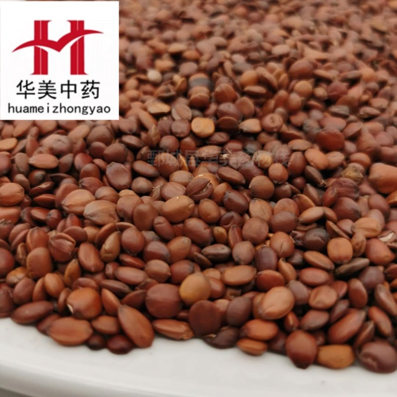 酸枣仁@【华美中药】批发供应中药材【国产酸枣仁98货