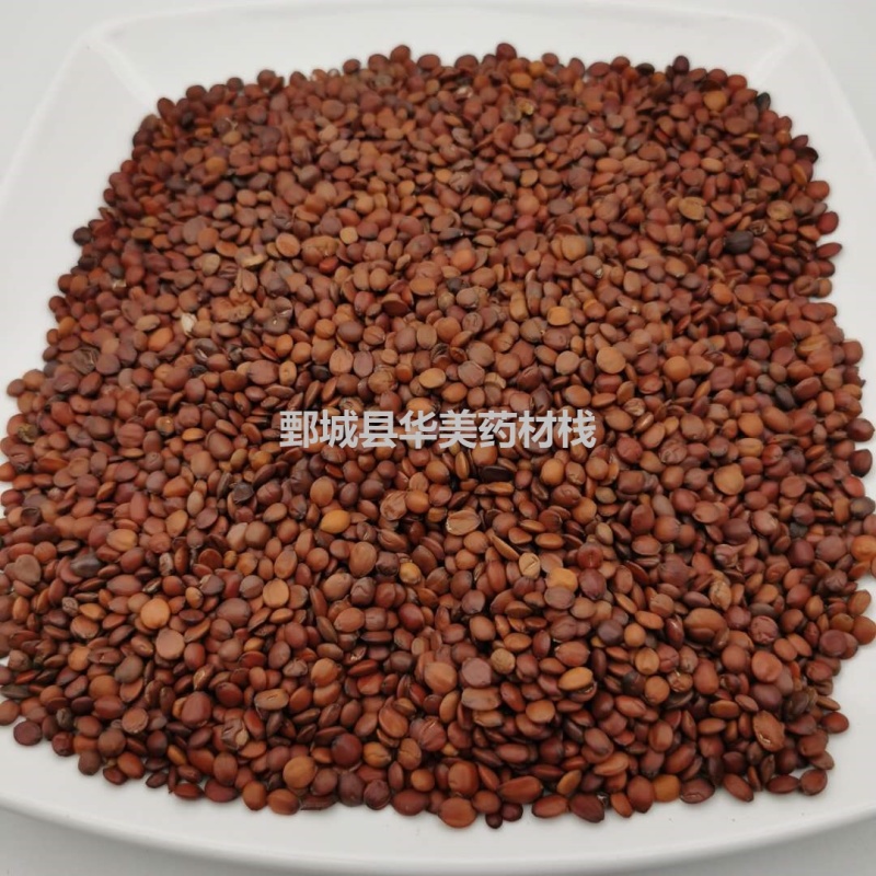 酸枣仁@【华美中药】批发供应中药材【国产酸枣仁98货