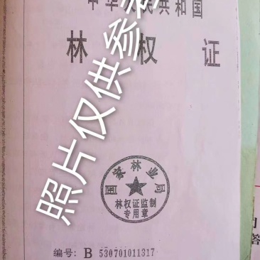农场