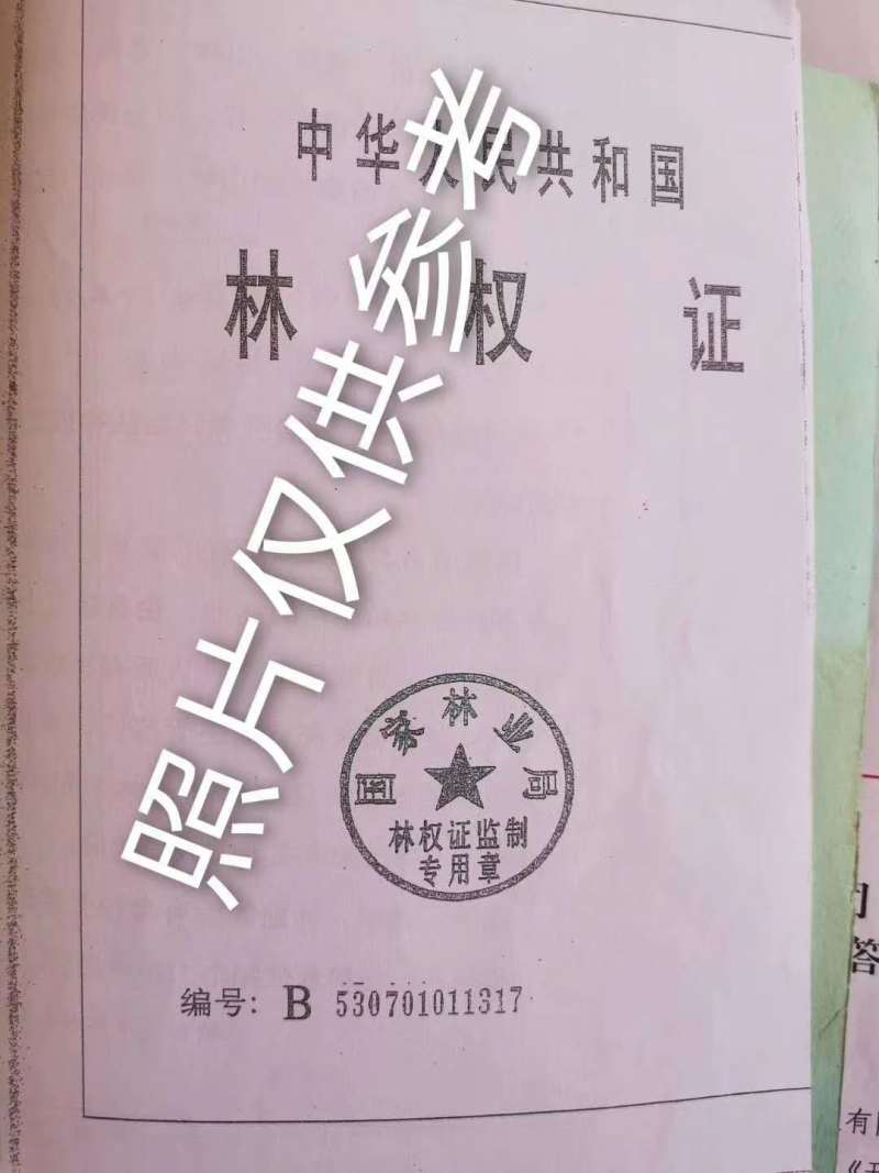 农场