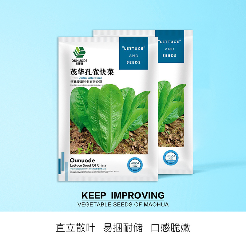 中科茂华蔬菜种子茂华孔雀菜生菜种子品质超越大速生产