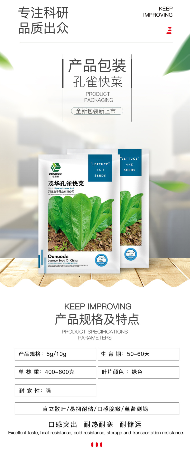 中科茂华蔬菜种子茂华孔雀菜生菜种子品质超越大速生产