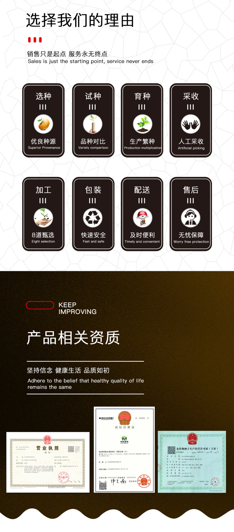 中科茂华蔬菜种子茂华孔雀菜生菜种子品质超越大速生产