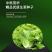 中科茂华蔬菜种子意大利生菜种子耐热半结球生菜種子简