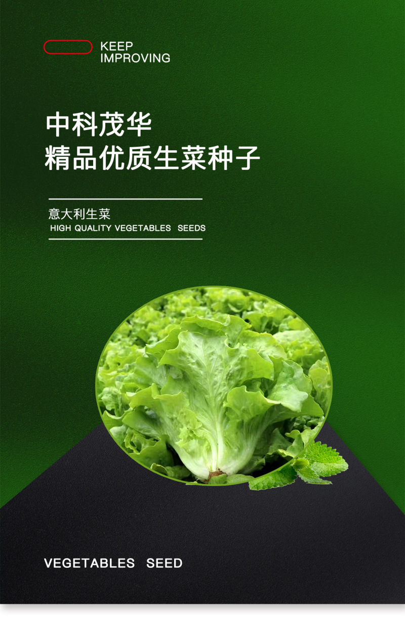 中科茂华蔬菜种子意大利生菜种子耐热半结球生菜種子简