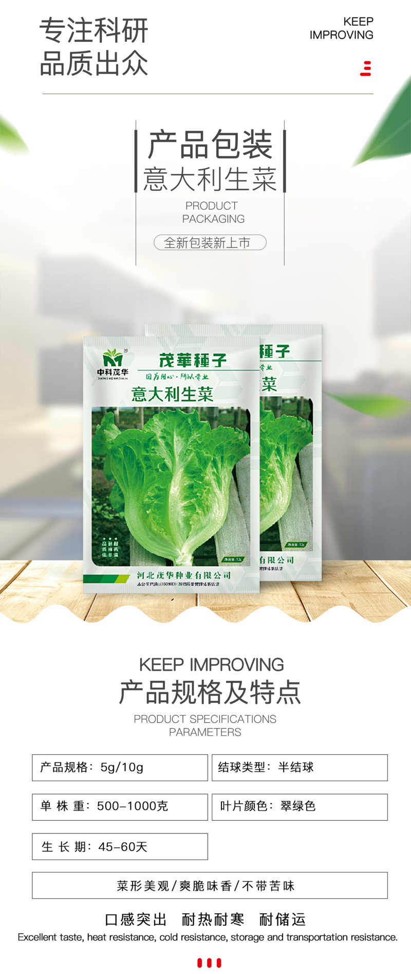 中科茂华蔬菜种子意大利生菜种子耐热半结球生菜種子简