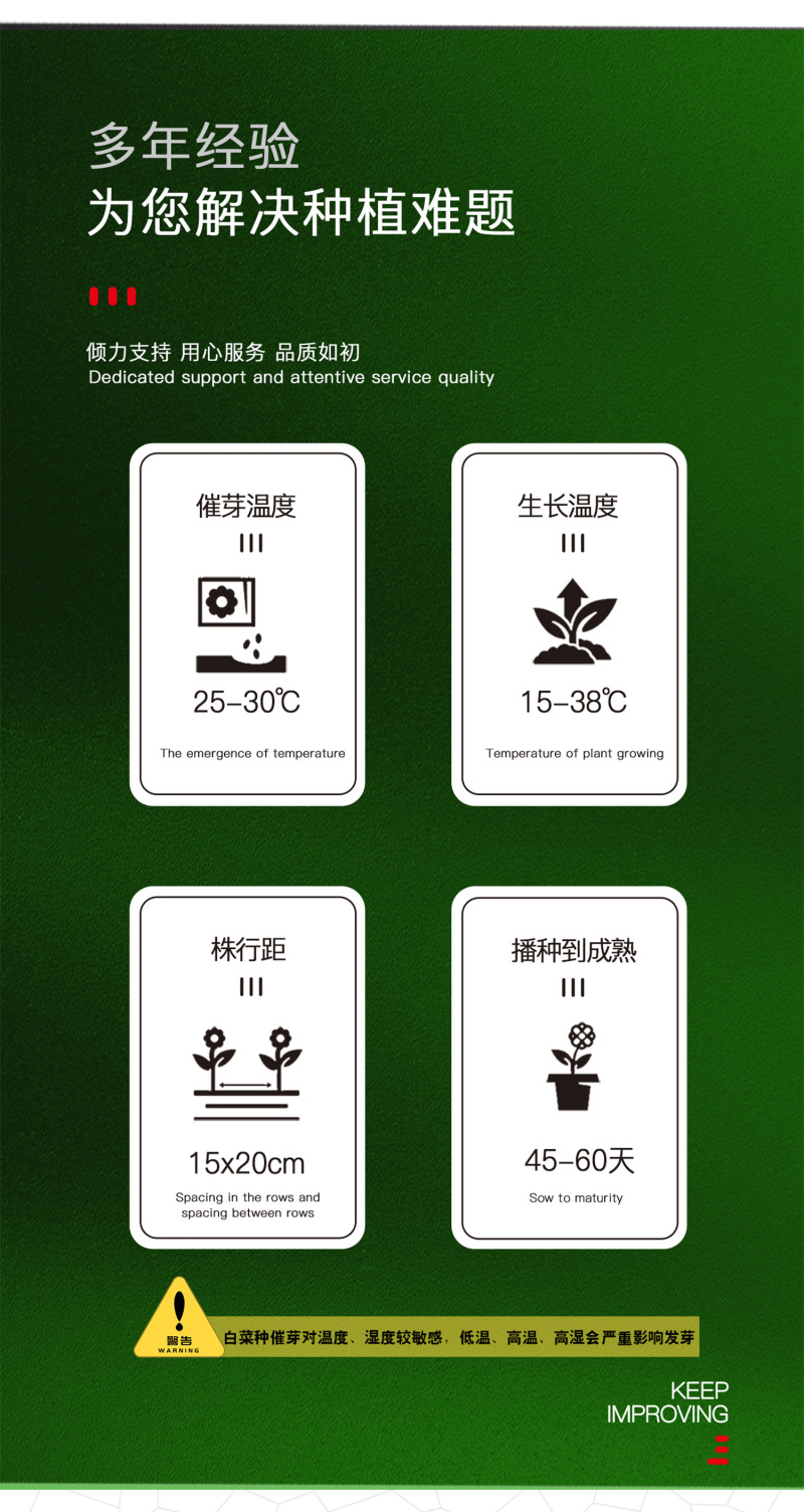 中科茂华蔬菜种子意大利生菜种子耐热半结球生菜種子简
