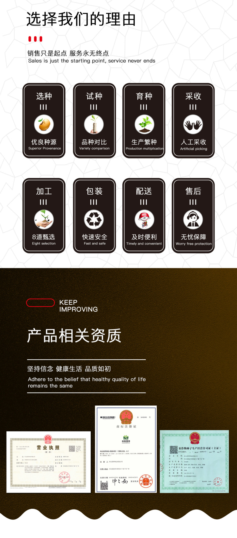 中科茂华蔬菜种子意大利生菜种子耐热半结球生菜種子简