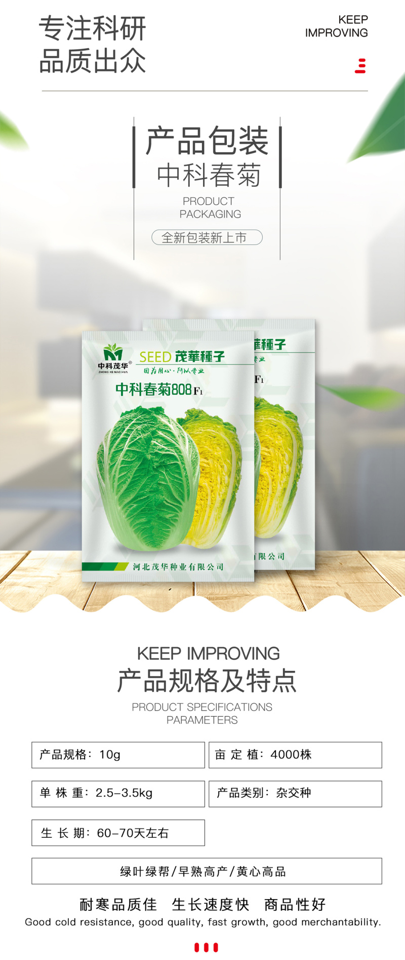 （正常发货）中科茂华中科春菊808白菜种子纯黄芯春秋白