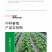 （正常发货）中科茂华中科春菊808白菜种子纯黄芯春秋白