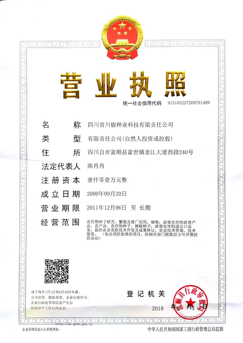 四川辣椒种子优干二号|果面鲜红|皮薄肉厚