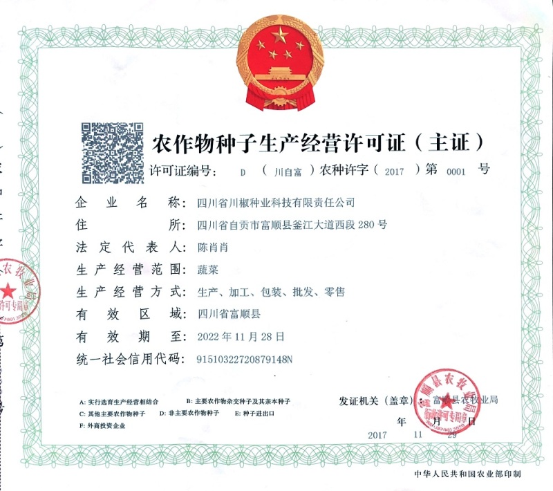 四川辣椒种子优干二号|果面鲜红|皮薄肉厚