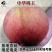 果树苗平谷大桃大久保桃树苗嫁接桃苗大久保蜜桃南方