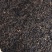 【精品】祁门红茶祁红香螺产地直供货源充足质优价廉可看货