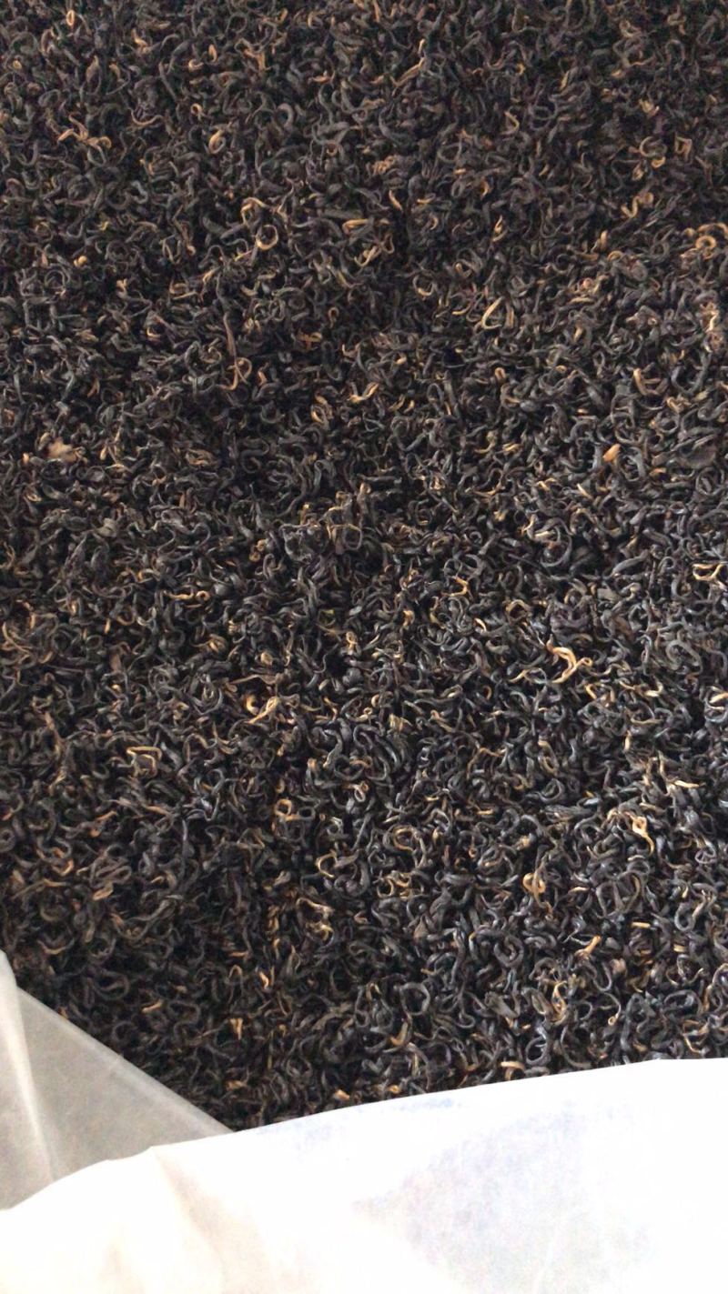 【精品】祁门红茶祁红香螺产地直供货源充足质优价廉可看货